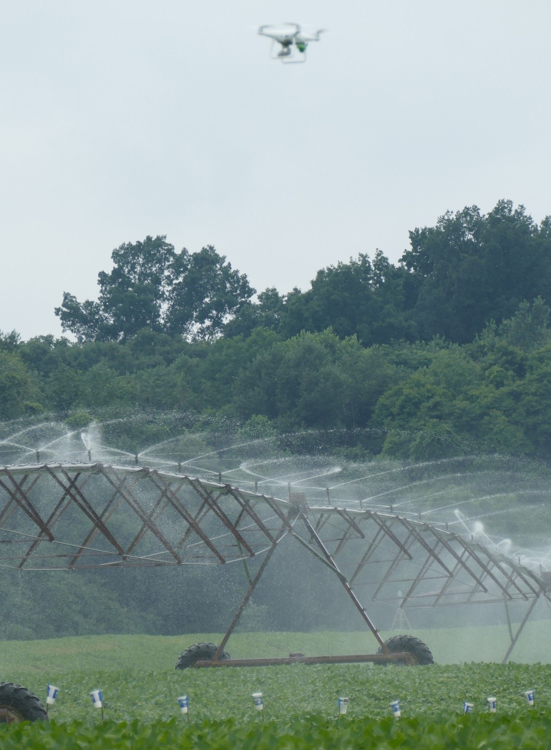 Irrigation